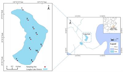 Investigation of phytoplankton community structure and formation mechanism: a case study of Lake Longhu in Jinjiang